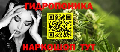 мдпв Гусь-Хрустальный