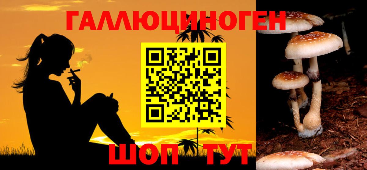 Галлюциногенные грибы MAGIC MUSHROOMS  Вход с VPN  Кизляр 